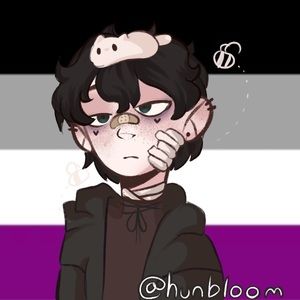 Meet your Posher, Ashlee